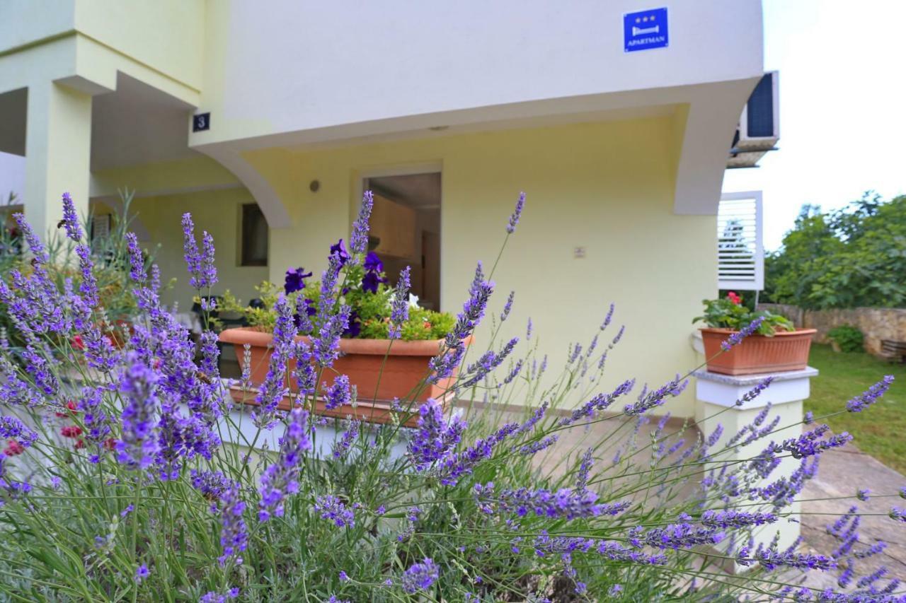 Apartments Romansa Zaton  Kültér fotó